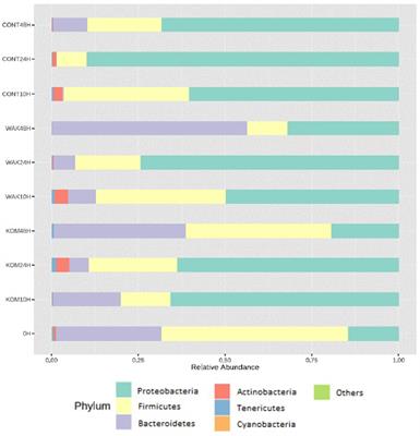 Potential prebiotic effect of two Atlantic whole brown seaweeds, Saccharina japonica and Undaria pinnatifida, using in vitro simulation of distal colonic fermentation